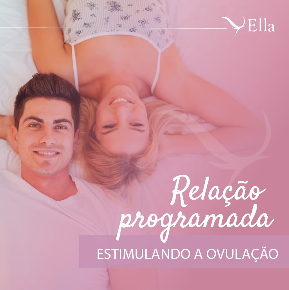 No momento, você está visualizando Relação programada: estimulando a ovulação