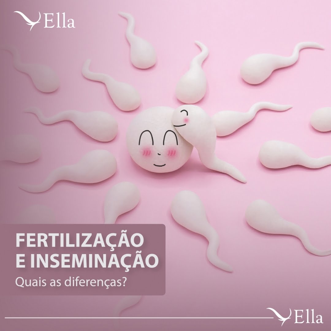 Você está visualizando atualmente Fertilização X Inseminação