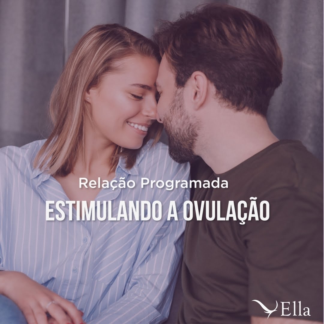 No momento, você está visualizando Relação programada