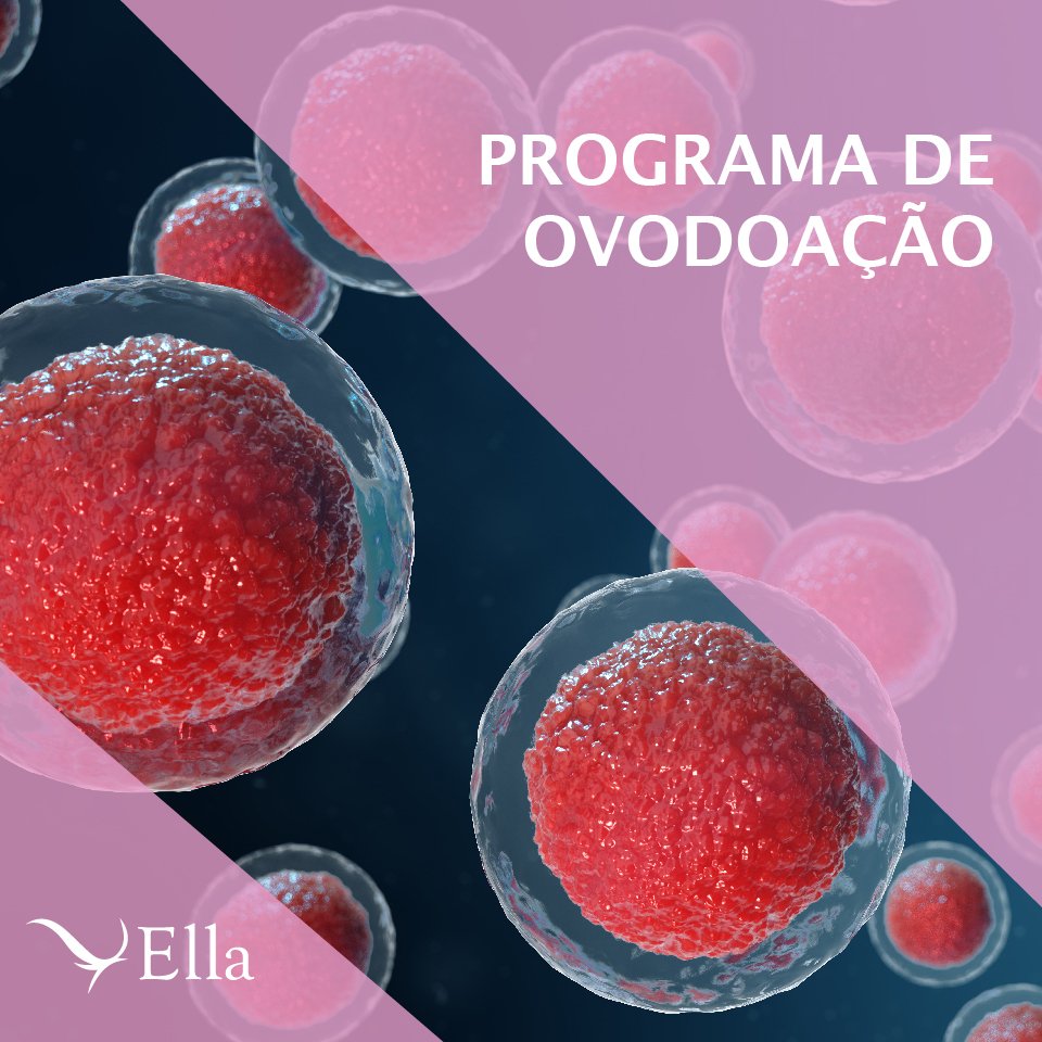 Você está visualizando atualmente Programa de ovodoação