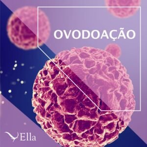 Leia mais sobre o artigo Ovodoação