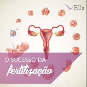 Leia mais sobre o artigo O sucesso da fertilização