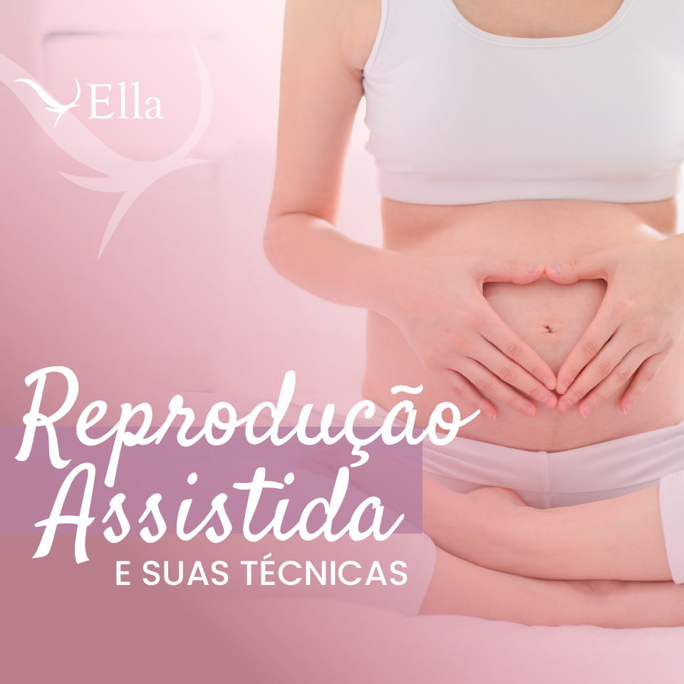 Você está visualizando atualmente Reprodução assistida e suas técnicas